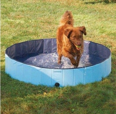 Customized Pvc Portable Dog Bath Tub For Home Eco-Friendly